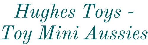 toyminiaussies icon 1