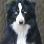 rocky2 1yr