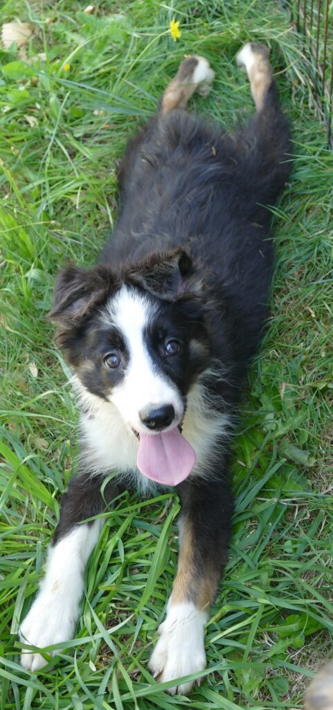 d graceciblue626 btm3 14w1