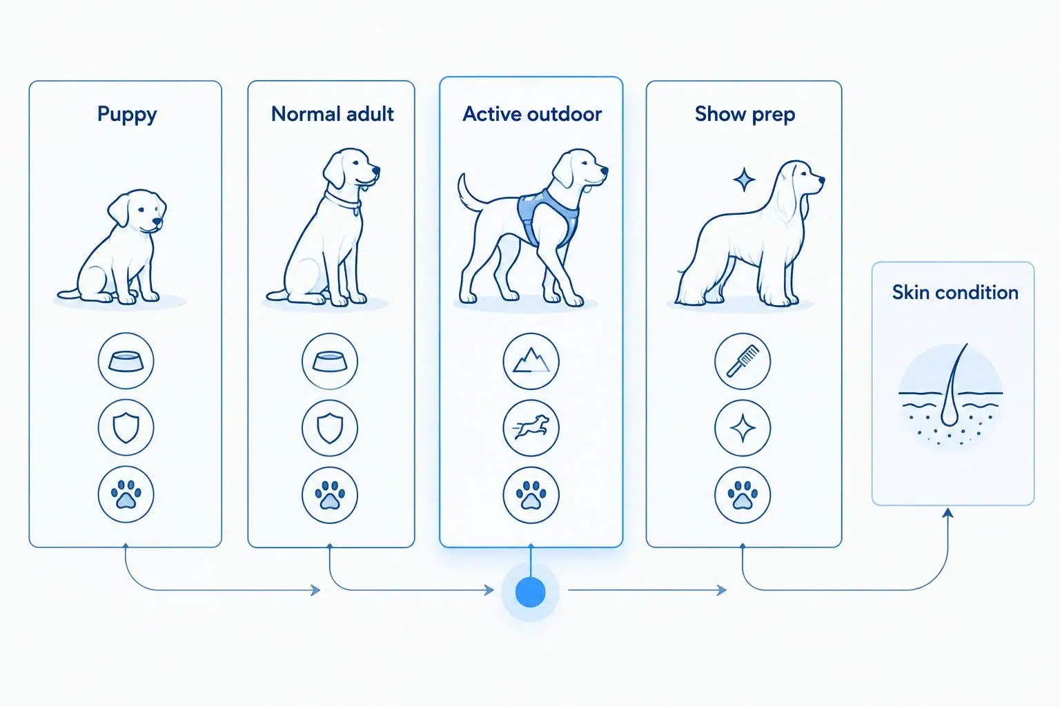 Bar comparison of mini Aussie bathing frequency by life stage and activity level